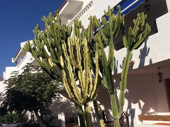 Moderno E Luminoso Port Royal * ロスクリスティアーノス